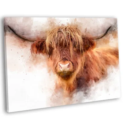 Highland Cow - Watercolour Style Canvas Print Framed Wall Art Picture .8 • £17.99