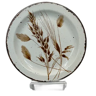 Stonehenge Midwinter Wild Oats 7  Salad - Bread - Dessert Plates Mid Century • $14.97