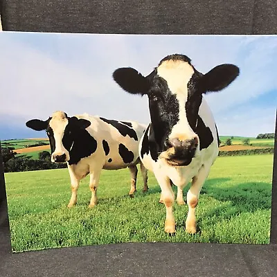 Colorful 90’s Poster Farm Scene Vintage Wall Art Print Jersey Cows 16” X 20” EUC • $14