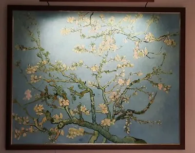 $950 • Buy 50x 42 Inch Large Framed Oil Painting Reproduction Van Gogh Almond Blossoms