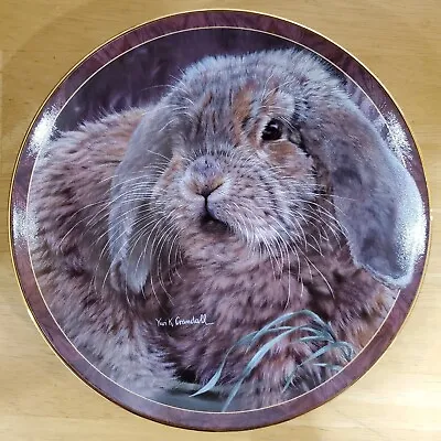 Vivi Crandall Bunny Tales “Fuzzball” Collector Plate Bradford Exchange • $22.50