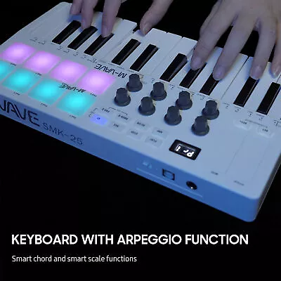 25-Key MIDI Control Keyboard Mini Portable USB Keyboard MIDI Controller With 25 • $46.31