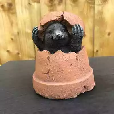 Mole Hiding In A Pot - Painted Stone Garden Ornament - Mole95 • £16