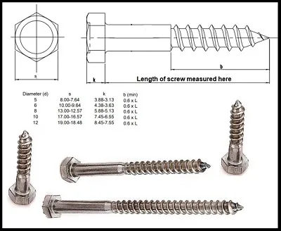 Stainless Steel Coach Screws Hex Head Lag Bolts Wood Screws M10 M12 Coachscrew • £230.73