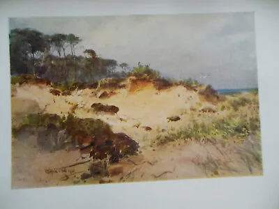 £7.99 • Buy Original 1909 HAMPSHIRE Print Isle Of Sand Pit, Near Bournemouth By Wilfrid Ball