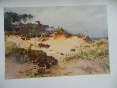 £7.99 • Buy Original 1909 HAMPSHIRE Print Isle Of Sand Pit, Near Bournemouth By Wilfrid Ball