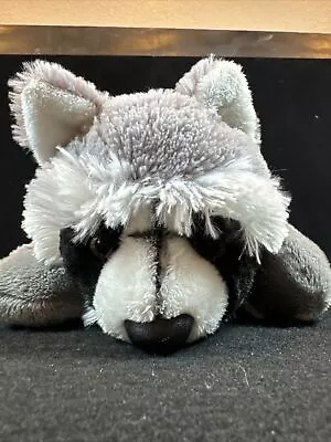 Bass Pro Shop Wildlife Artists Critter Callers Raccoon 13  Plush Stuffed Animal • $12