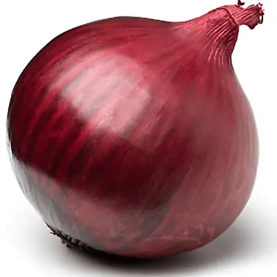 £2.89 • Buy 30 Giant Sweet Red Onion Seeds Pack UK Harvest Plants Grow Vegetables