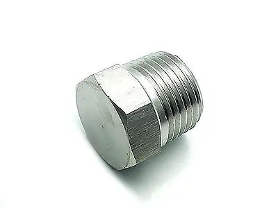 US Stock 2pcs 1/2  NPT Male 304 Stainless Steel Cast Pipe Fitting Hex Head Plug • $12.59