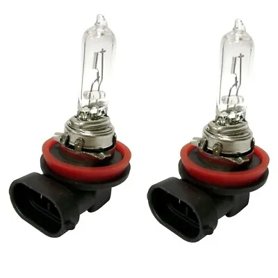 2x H8 Halogen 35W 12V Fog Lights Light Bulbs Bright Clear Glass Replacement Pair • $10.95