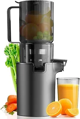 Masticating Juicers Slow Cold Press Juicer Machine With 4.1-inch (104mm) NEW • $108