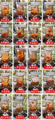 $14.62 • Buy 20 Pcs Blooming Tea Green Herbal Artistic Blossom Flowers Tee Blooming Tea Balls