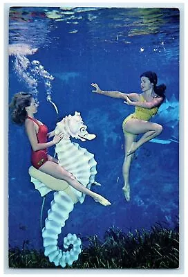 1963 Mermaid Riding A Seahorse Scene Weeki Wachee Springs Florida FL Postcard • $29.95