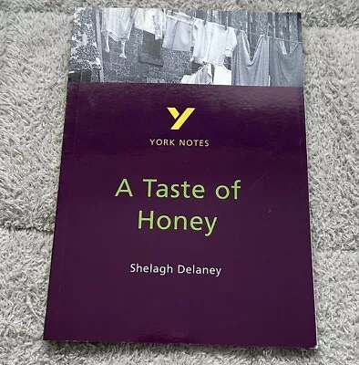 A Taste Of Honey - Shelagh Delaney York Notes Revision Guide GCSE • £4