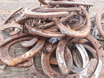 40 Used Steel Horseshoes Rusty Arizona • $45