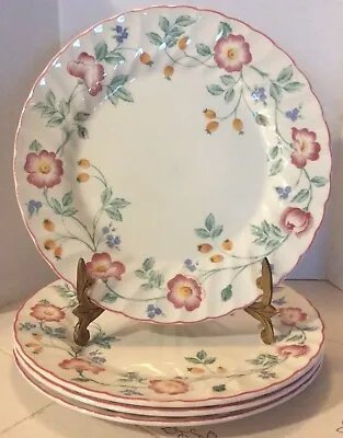 $16.99 • Buy 4 Churchill Staffordshire England Fine English Tableware Briar Rose Dinner Plate