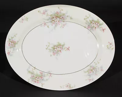 Theodore Haviland New York Apple Blossom Oval Meat Serving Platter 14  • $32