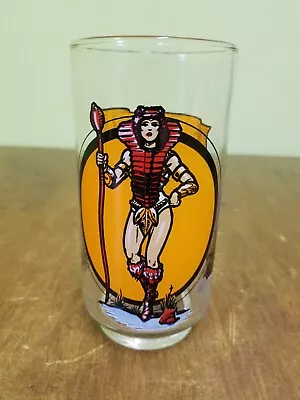 Vintage 1983 MOTU Masters Of The Universe TEELA Mattel Tumbler Drinking Glass • $39.99