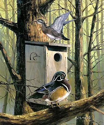 R.J.Mcdonld S/N Print Room With A View Woodduck  15 X 20 • $95