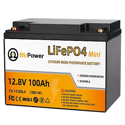 12V 100Ah LiFePO4 Battery Lithium Iron Phosphate For RV Marine Solar System 100A • $199.69