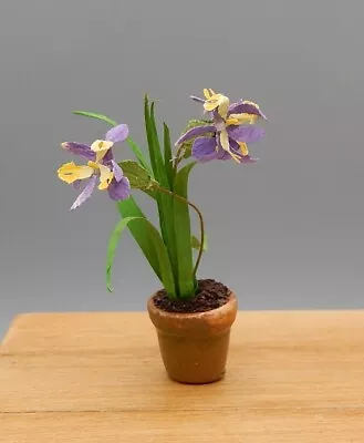 Delicate Paper Iris Flowers In Terracotta Pot Artisan Dollhouse Miniature 1:12 • $5.99