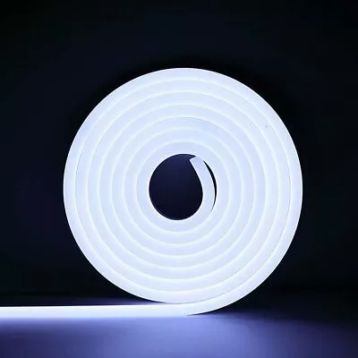 LEDs Neon Strip Lights Rope Lamps 12V Flexible Waterproof For Boat Bar Sign Kit • $9.92