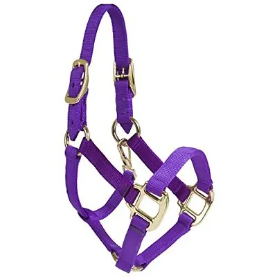 Halter - Nylon Miniature With Double Buckles On Crown (Purple - Mini) • $29.95