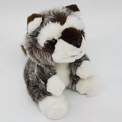 7  Raccoon Gray Brown Sitting All Plush Soft Stuffed Animal Walmart Toy B306 • $9.59