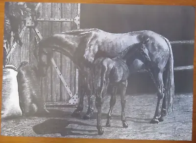 Vintage Hand Pencil Drawing Art Picture Mare Foal Horses Outside Stables Signed • £27