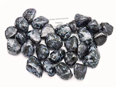 1 GABBRO Tumbled Stone Mystic Merlinite Madagascar Pouch Sz LG 8.1 - 15 Grams • $5.95