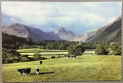 Lake District Wasdale & Great Gable Cumberland Cows Grazing Vintage Postcard • £0.99