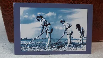 Nostalgia Collectable Postcard - Country Life - Land Army Girls Hoeing • £2.25