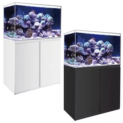 Aqua One + LED 300L Marine *Black* Fish Tank - Full Setup • £460