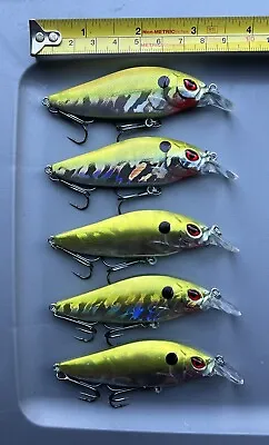 (5) Megabass Flap Slap KO Crankbait Bass Fishing Lures Gold • $19.99