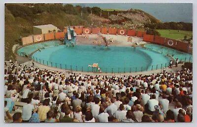 Marineland Of The Pacific The Sea Arena Los Angels County California Postcard • $4.75