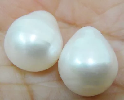 $26 • Buy HUGE PAIR OF 14x10.4MM NATURAL SOUTH SEA GENUINE WHITE LOOSE PEARL UNDRILLED