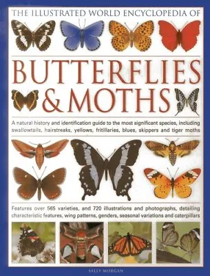 The Illustrated World Encyclopaedia Of Butterflies And Moths: A  • £3.44