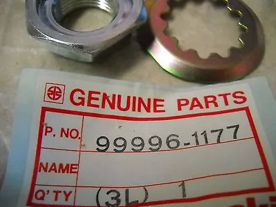 NOS OEM Kawasaki Rear Wheel Nut & Washer 1992 ZX1100 Ninja 99996-1177 • $8.39