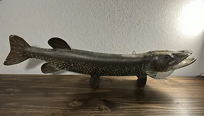 Vintage NORTHERN PIKE Fish Mount Taxidermy Wall Decor Cabin Camp Lodge Man Cave • $129.99