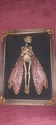 Museum Quality Mummified Dead Fairy In Shadow Box Bizarre  • $99