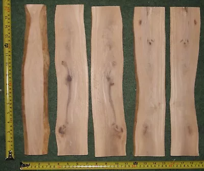 Live / Waney Edge  Off-Cuts Of Spalted Beech Wood For Art / Craft / Pyrography • £10.50