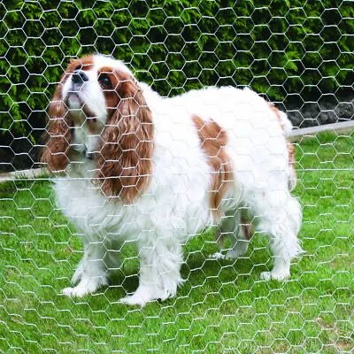 £27.93 • Buy 25-100M Galvanised Chicken Wire Mesh Net Pet Barrier Plant Flower Garden Fence