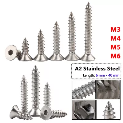 Hex Socket Countersunk Flat Head Self Tapping Wood Screws M3 M4 M6 A2 Stainless • $156.05