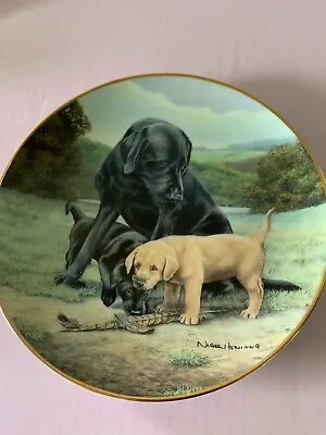 £9.99 • Buy Black Labrador Plate Spring Training  Nigel Hemming Franklin Mint Perfect