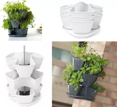 Vertical Herb Kitchen Planter Hanging Chain Garden Stackable Pot Herbal • £15.50