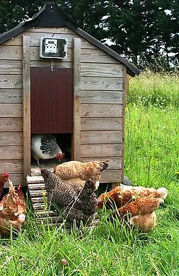 £145 • Buy HenSafe Automatic Chicken Coop Door Opener, Hen House, Heavy Gear Motor 5Kg Lift