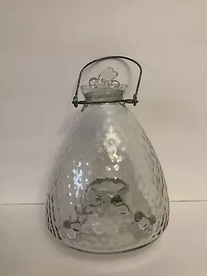 Clear Glass Fly Wasp Catcher Insect Trap Fruit Fly Bee With Stopper Vintage • $65