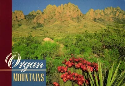 Organ Mountains New Mexico Postcard • $1.34