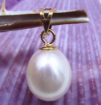 14k Gold AAA 10x13 Mm Natural White South Sea Pearl Pendant • $24.99
