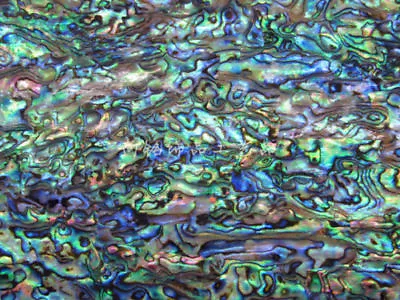 Natural Dark Mexico Abalone Shell PaperInlay Material Blank • $15.99